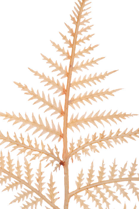 31" Fern Spray Beige