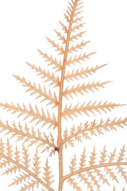 31" Fern Spray Beige