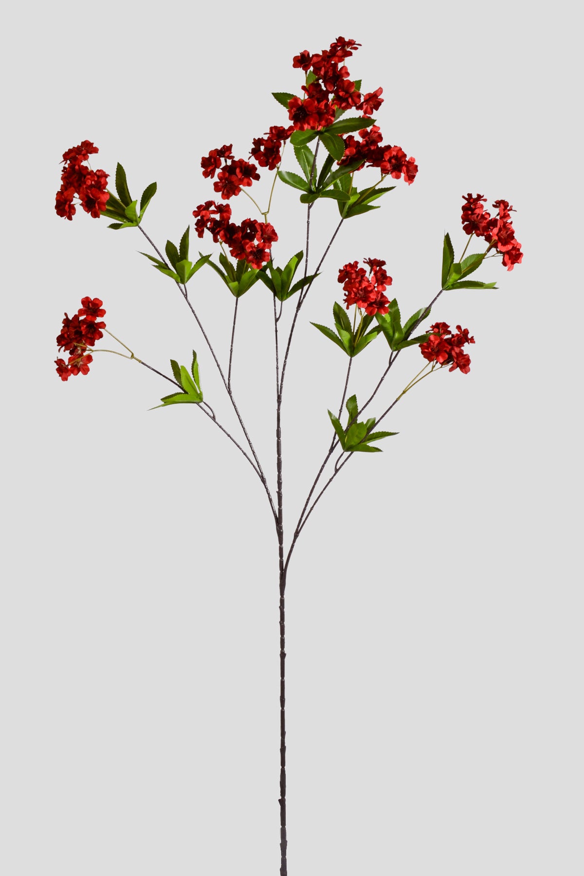 51" Silk Cherry Blossom Spray Dark Red