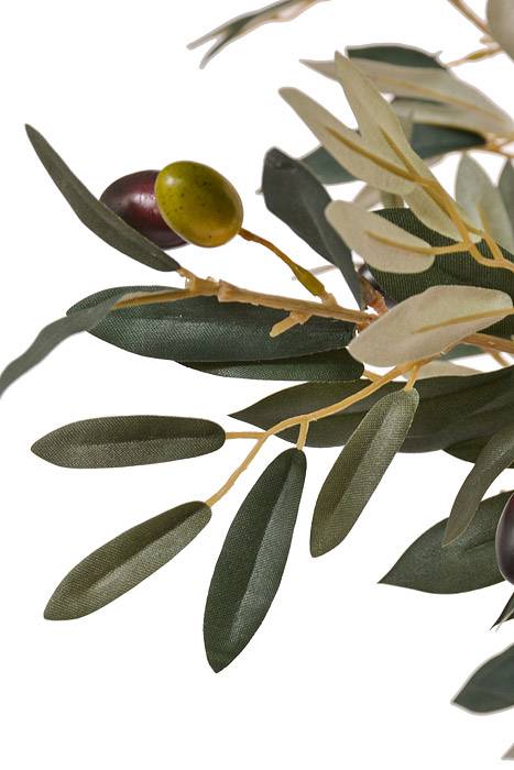 58" Potted Olive Leaf Topiary Green