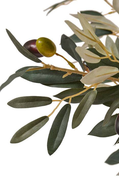 58" Potted Olive Leaf Topiary Green