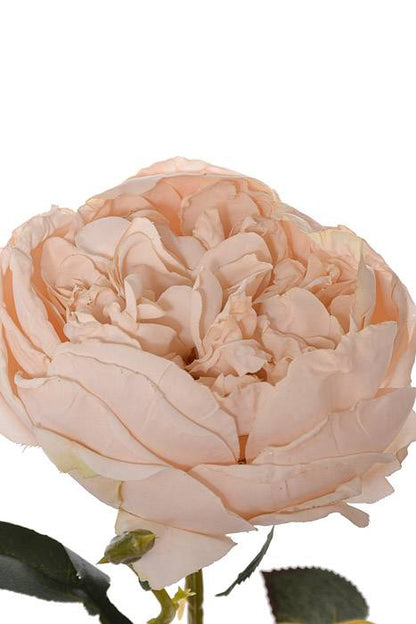 24.5" Silk Cottage Rose Spray Linen