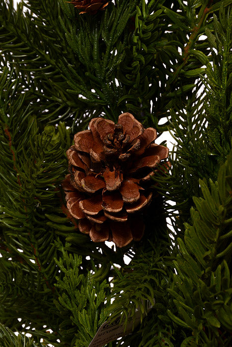 60" Noble Cedar With Cone Swag Garland Natural Green