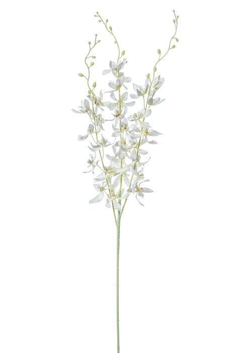 39" Dendrobium Spray Cream