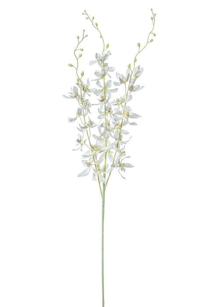 39" Dendrobium Spray Cream