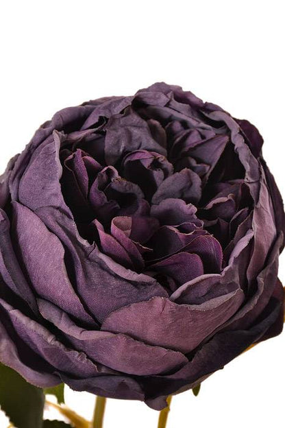 24.5" Silk Cottage Rose Spray Purple