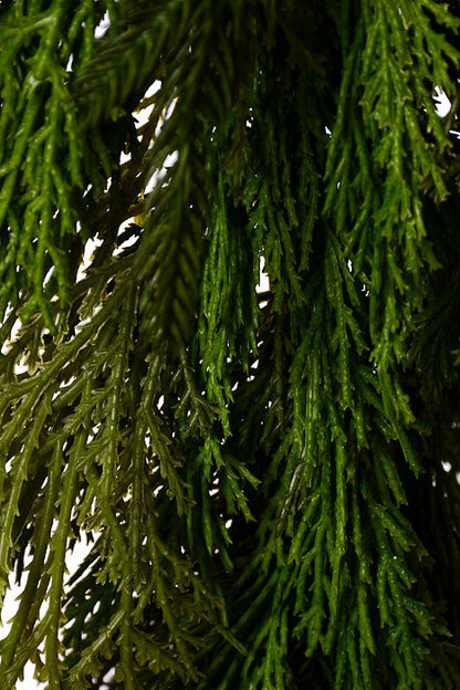 48" Cyprus Norfolk Pine Garland Natural Green