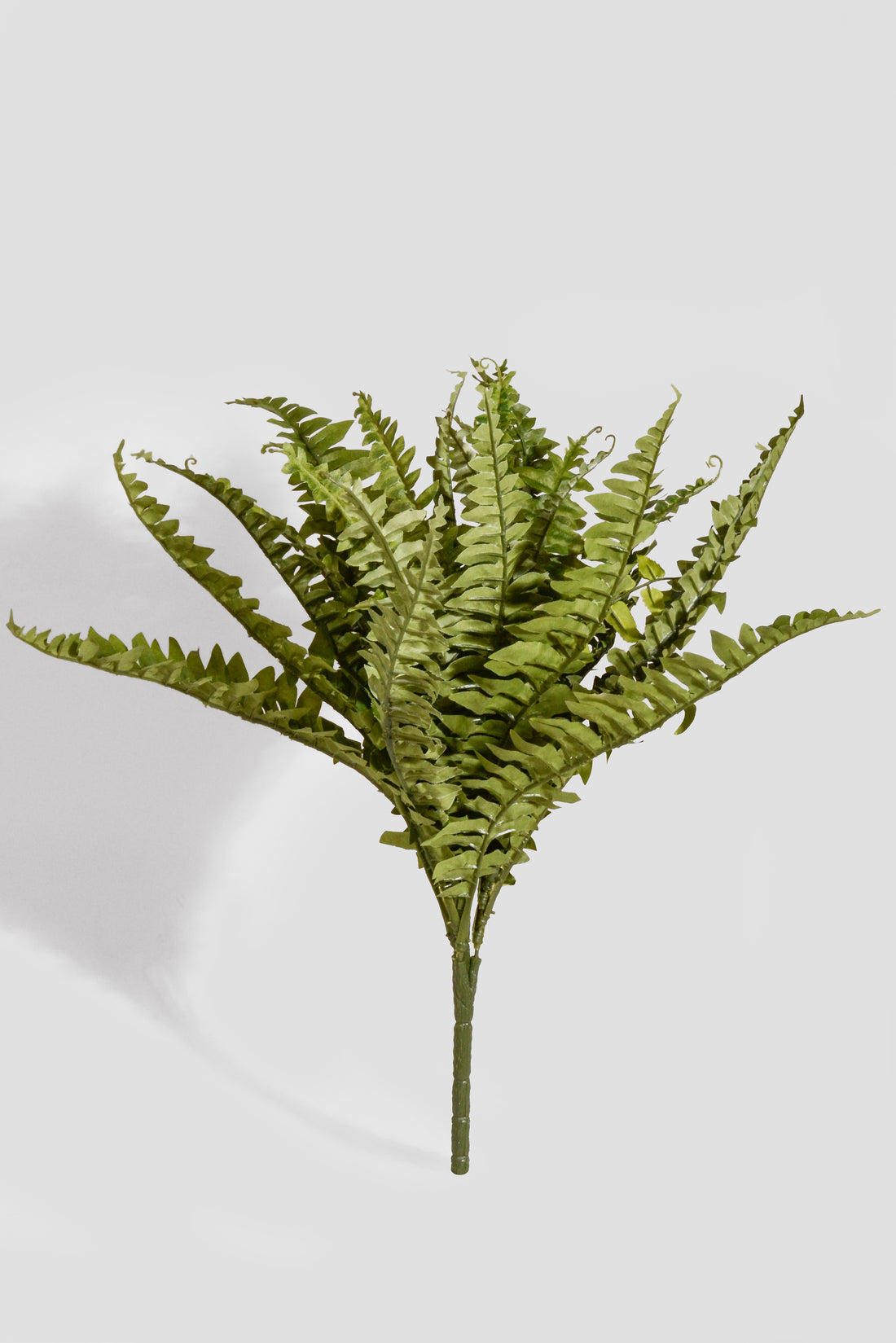 19" Artificial Boston Fern Green