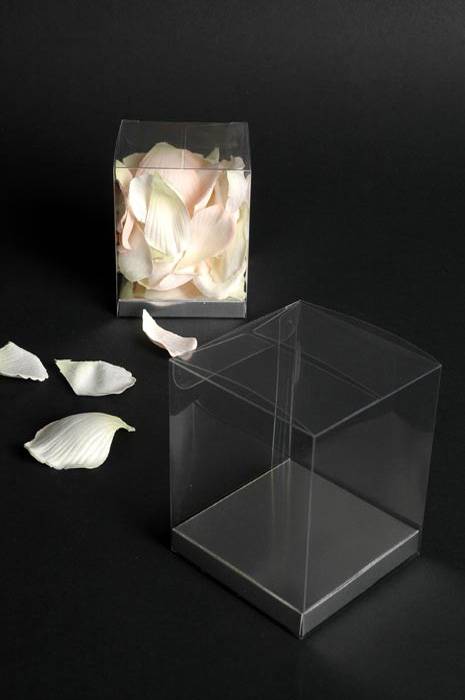 3" X 3" X 3.5" Pvc Box Clear/silver Pkg/12