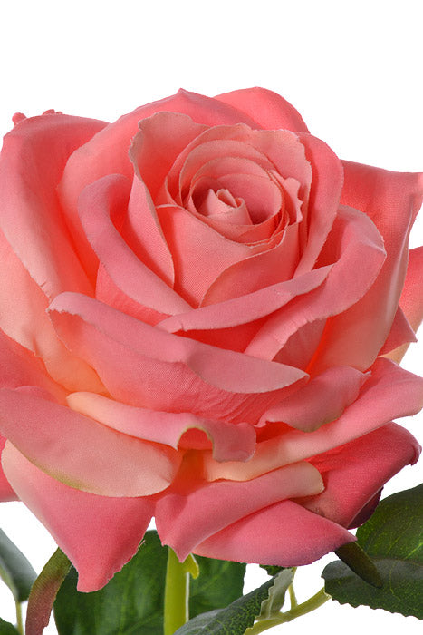 24.5" Silk Rose Spray Coral