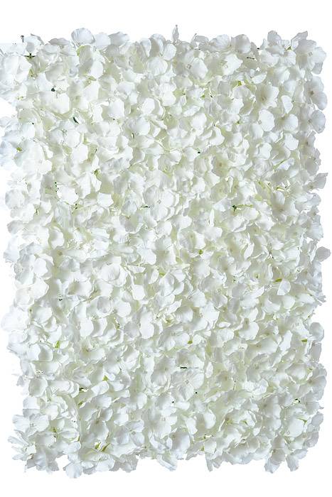 16" X 24" Wisteria Mat White