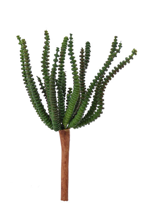 7" St Worm Succulent Pick Green