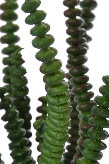 7" St Worm Succulent Pick Green