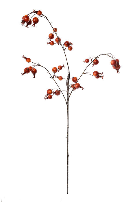 37" Mini Pomegranate Spray Orange