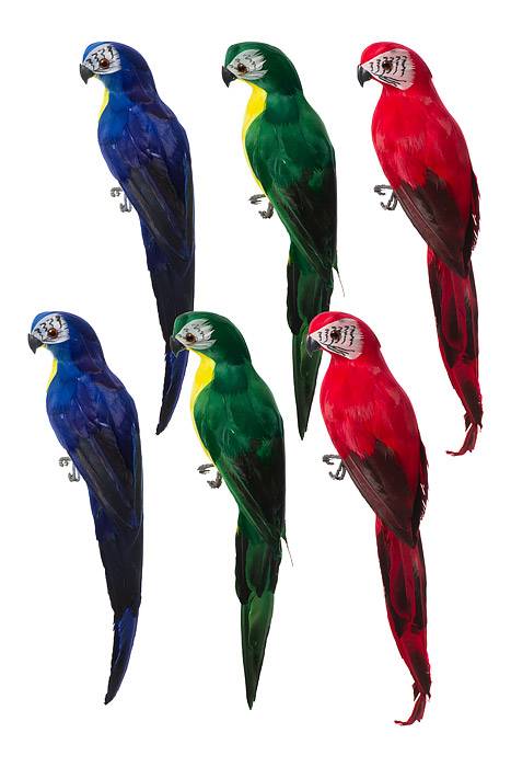 13.5" Standing Parrot Multi Bx/6