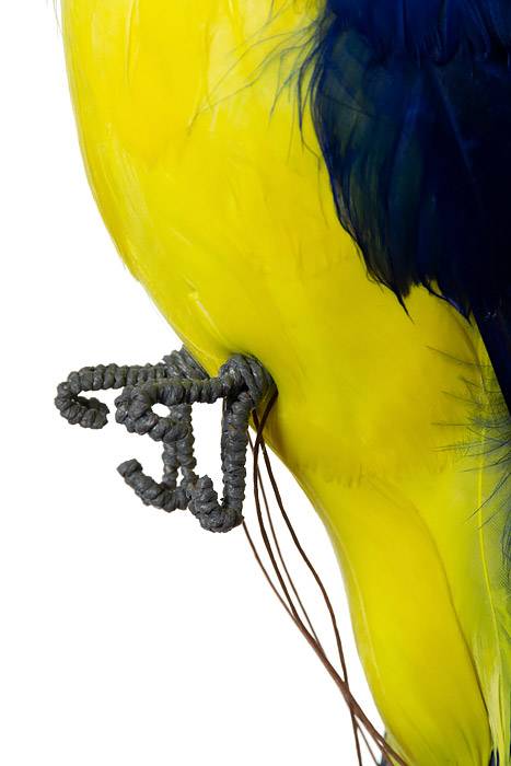 13.5" Standing Parrot Multi Bx/6