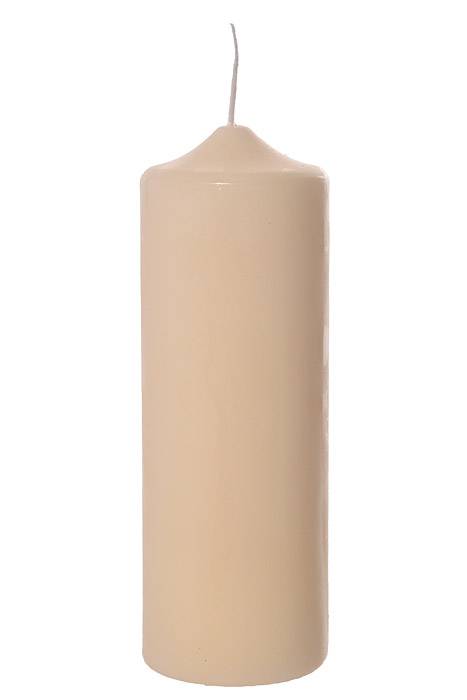 2.8" X 8" Patrician Pillar Candle Ivory