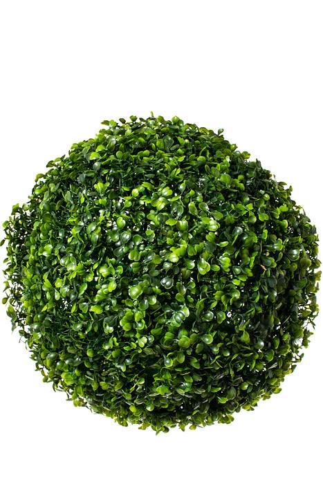 14" Boxwood Ball Green