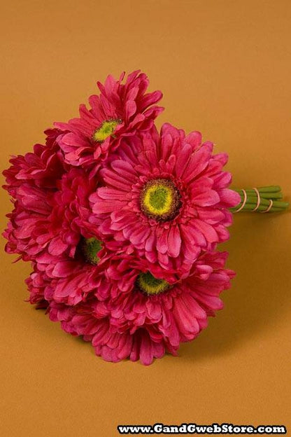 9" Gerbera Daisy Stem Beauty Pkg/12