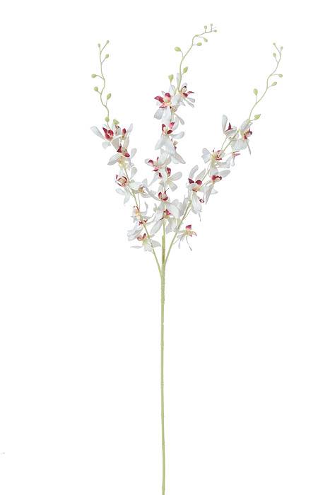 39" Dendrobium Spray Cream/orchid
