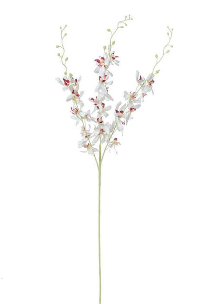 39" Dendrobium Spray Cream/orchid