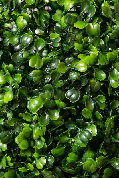 14" Boxwood Ball Green