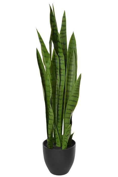 33" Sansevieria Plant in Pot Green