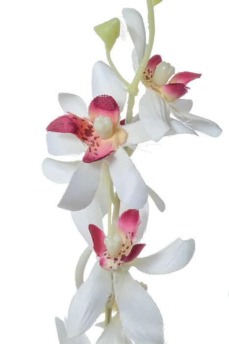 39" Dendrobium Spray Cream/orchid