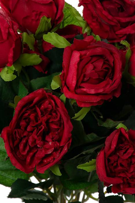 16" Silk Cabbage Rose Bush Red
