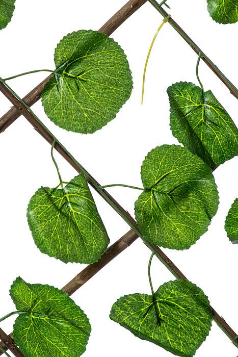 47.5"x 66" Begonia Leaf Stretchable  Fence Screen Green