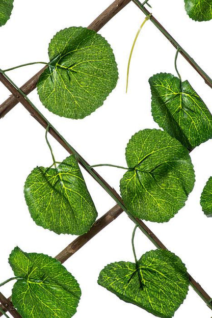 47.5"x 66" Begonia Leaf Stretchable  Fence Screen Green