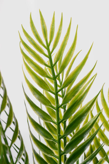 5.5Ft Artificial Fern Tree Branch Green