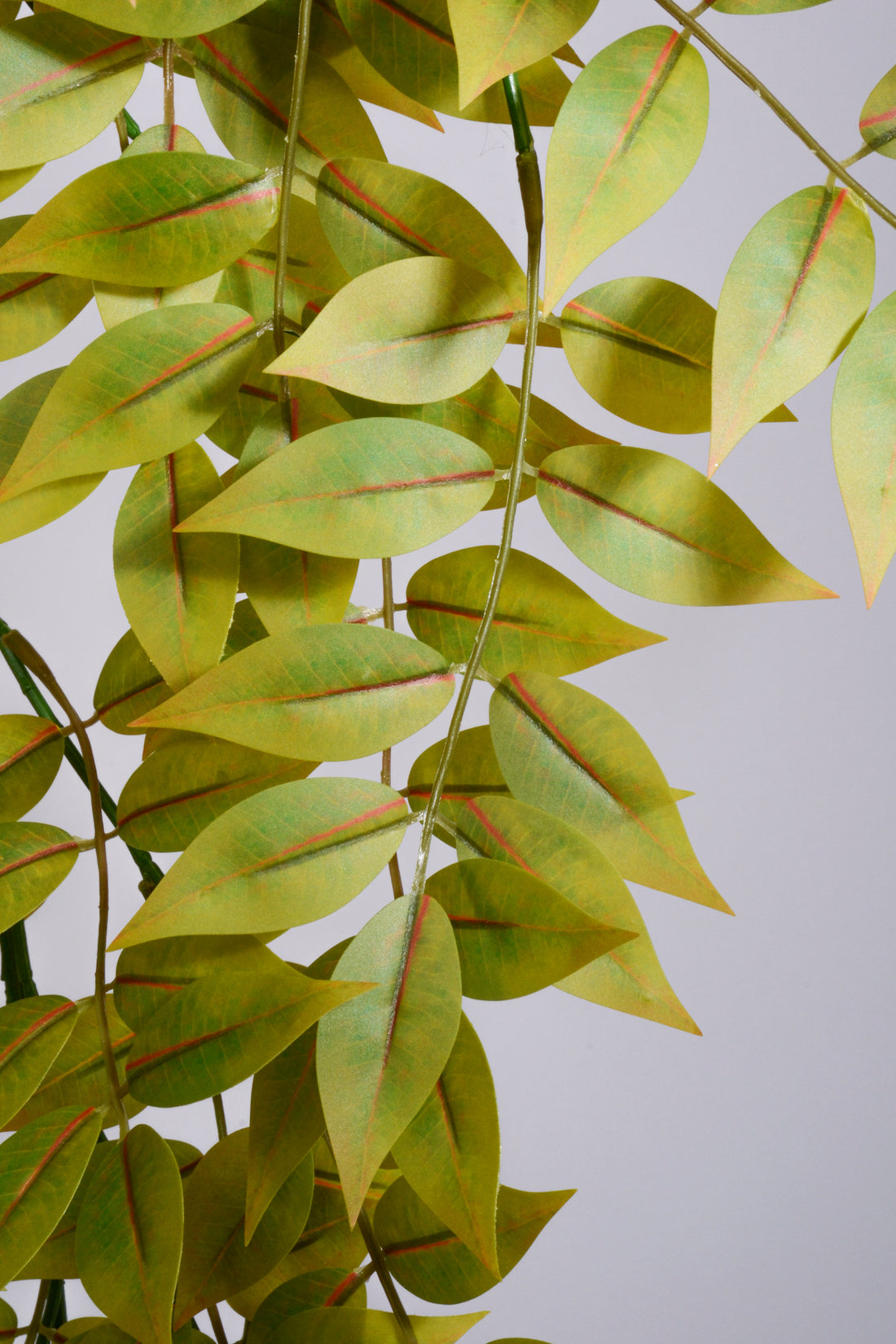 52" Silk Toon Leaf Hanging Spray Green