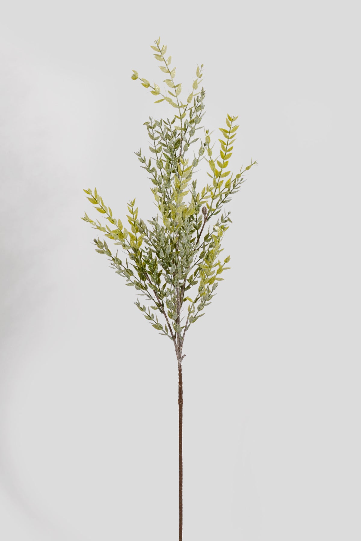 42" Frosted Ruscus Leaf Spray Green