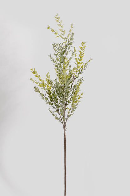 42" Frosted Ruscus Leaf Spray Green