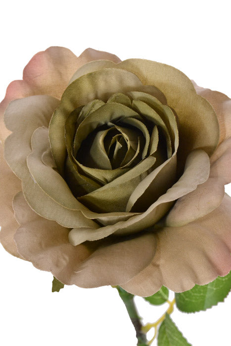 22.25" Rose Spray Green