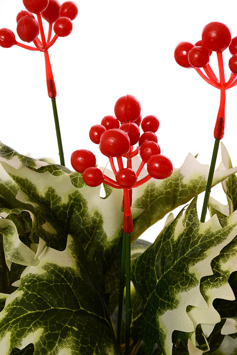 17" Holly Bush Green/White