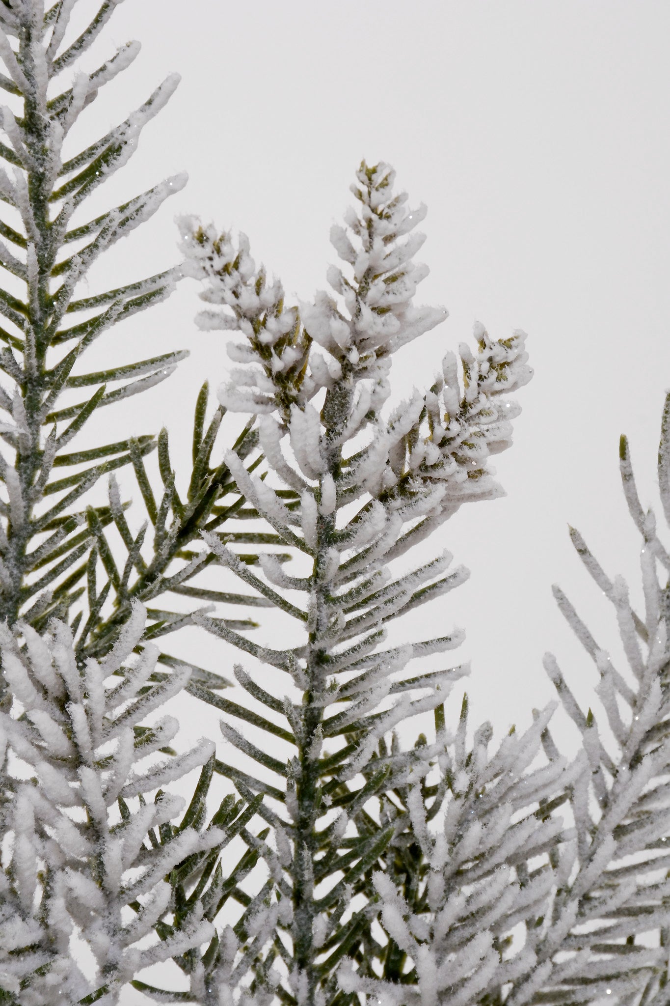 17.5" Snowed Pine Spray White/Green