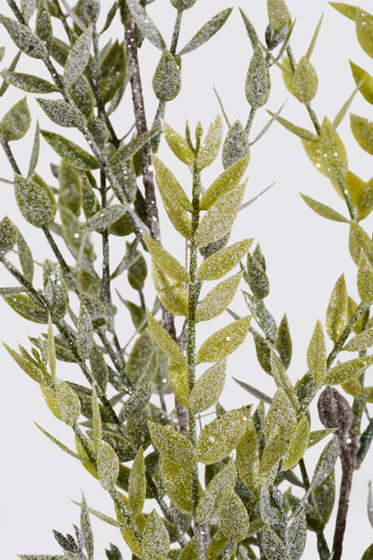 42" Frosted Ruscus Leaf Spray Green