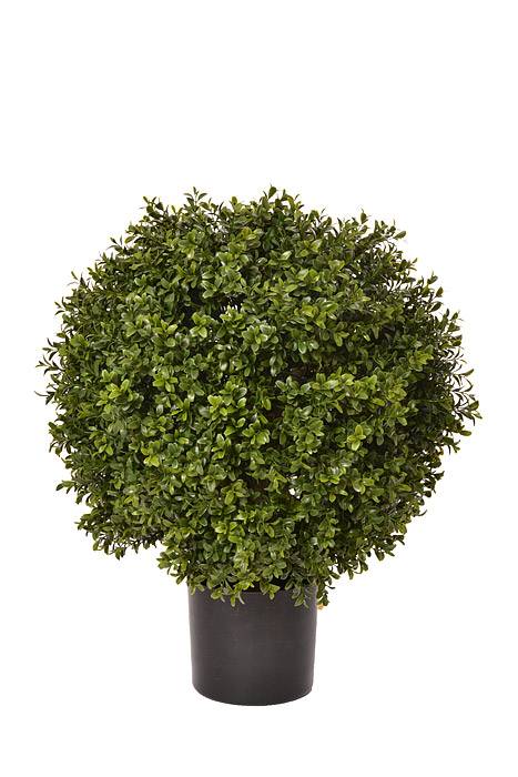23.5" High Ball Boxwood Topiary Pot Green