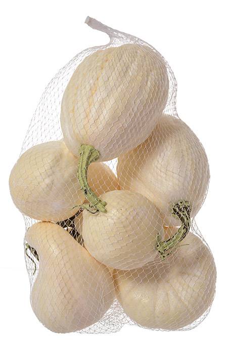 2"-5" Assorted Pumpkin In Bag White Pkg/8