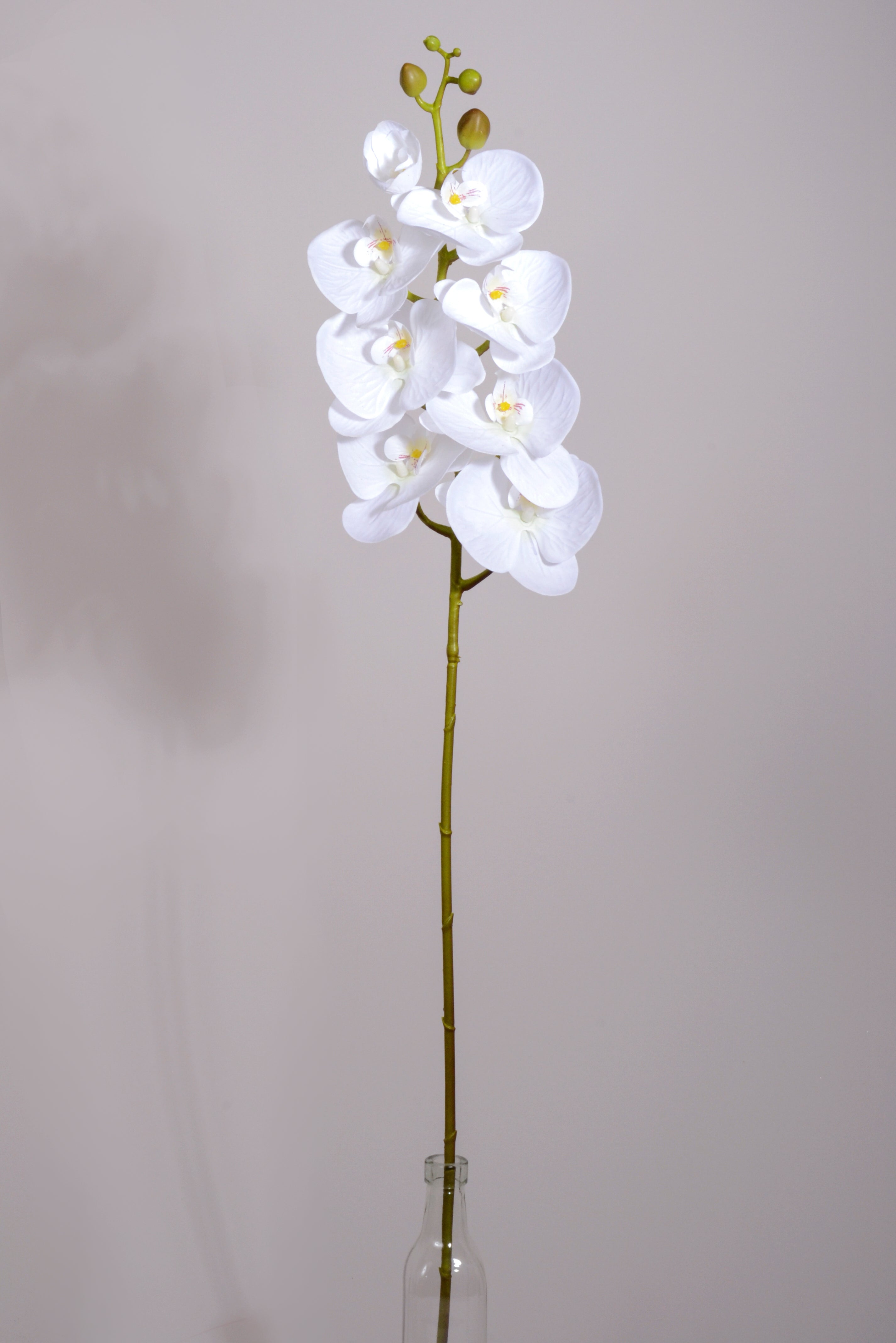39.5" Silk Phalaenopsis Spray White