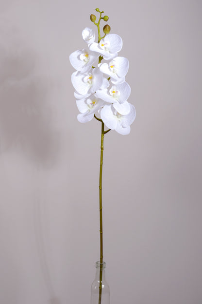 39.5" Silk Phalaenopsis Spray White