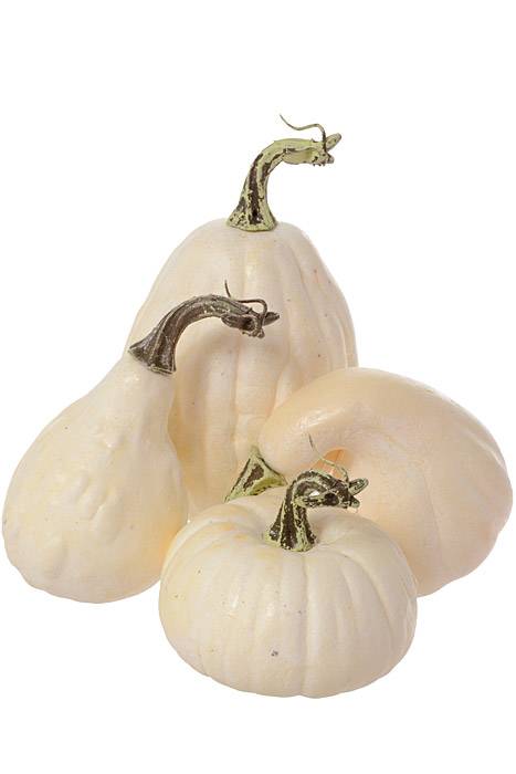 2"-5" Assorted Pumpkin In Bag White Pkg/8