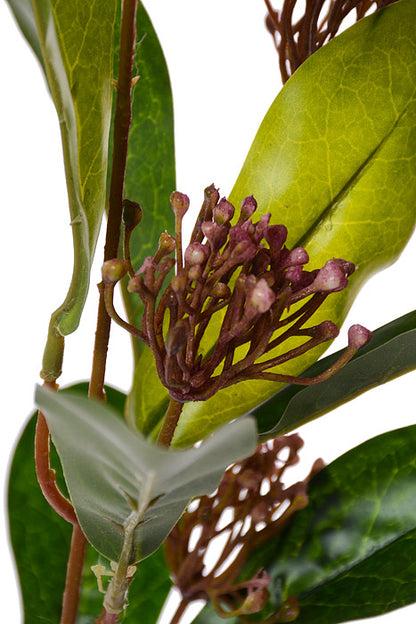 41" Sweet Osmanthus Spray Beauty