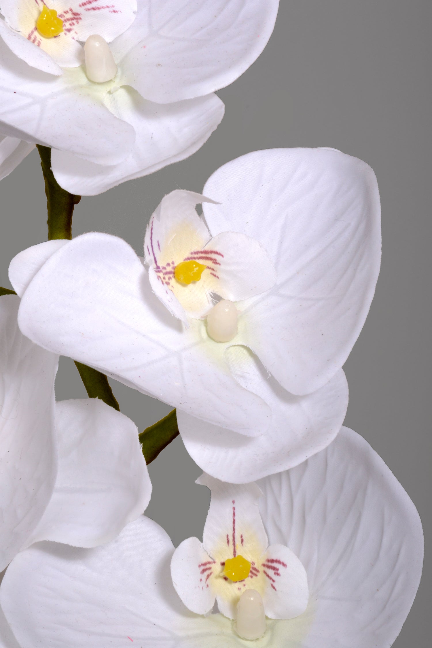 39.5" Silk Phalaenopsis Spray White