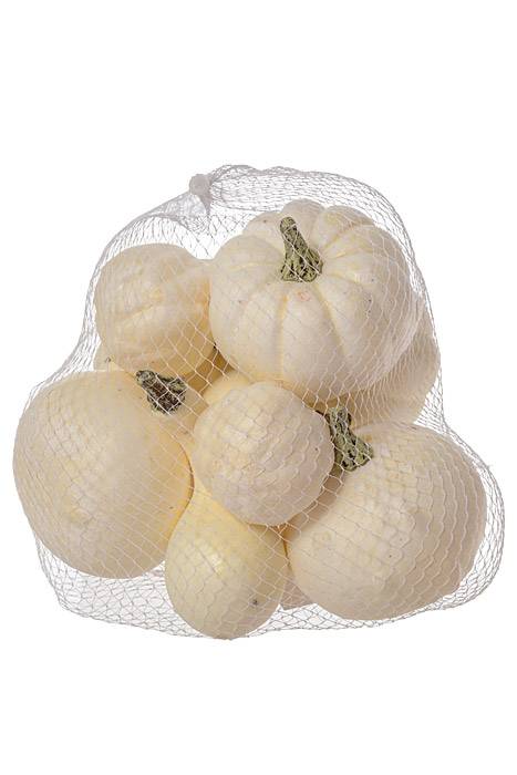 5 Style Mixed Pumpkin In Net White Pkg/12