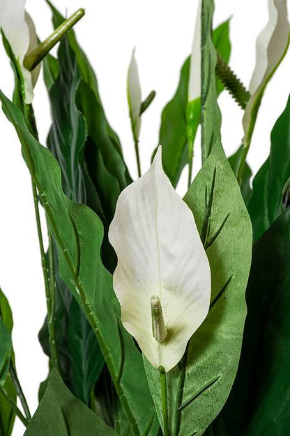 35" Silk Spathiphyllum Plant Green