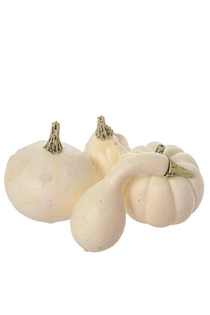 5 Style Mixed Pumpkin In Net White Pkg/12