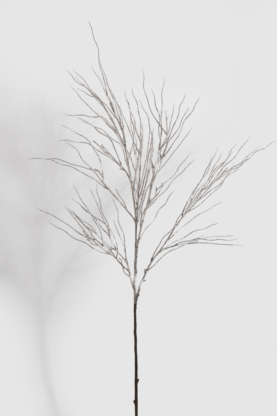 46" Snowed Twig Spray White/Brown